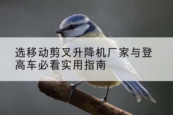 天等电动升降机厂家-选移动剪叉升降机厂家与登高车必看实用指南