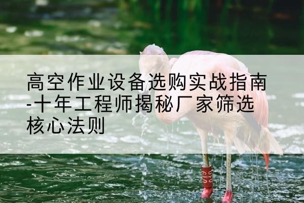 天等剪叉式升降机厂家-高空作业设备选购实战指南-十年工程师揭秘厂家筛选核心法则