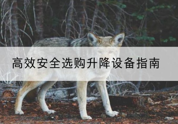 天等升降货梯厂家推荐-*安全选购升降设备指南