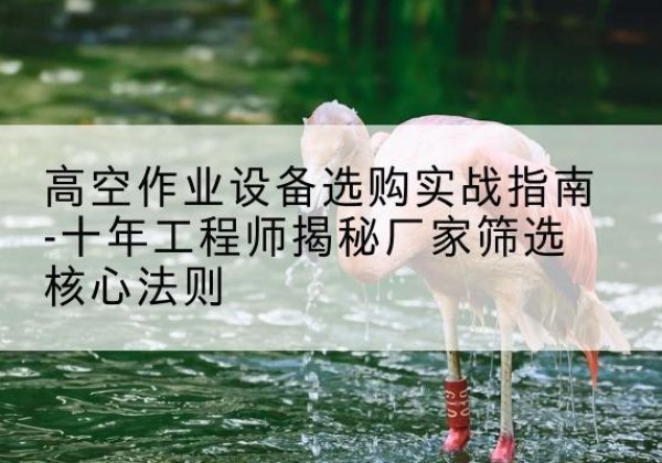 天等剪叉式升降机厂家-高空作业设备选购实战指南-十年工程师揭秘厂家筛选核心法则